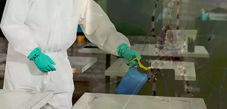 Why Buyers Still Want Homes With Pest Infestations in Norfolk, VA?