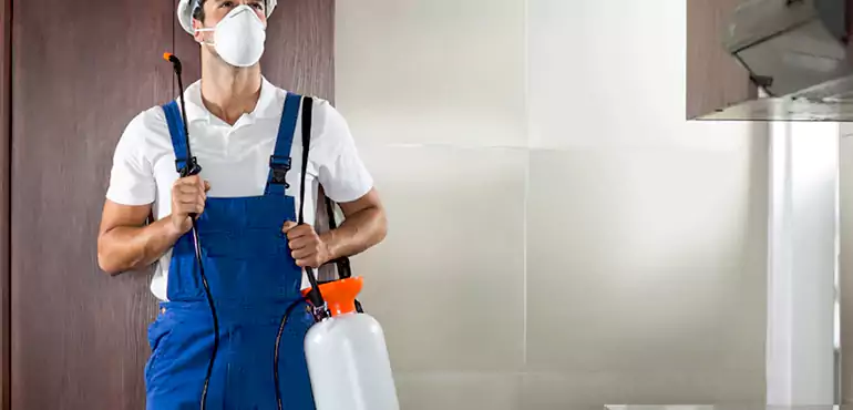 Why Norfolk Homeowners Choose Us When Pests Make Selling Difficult