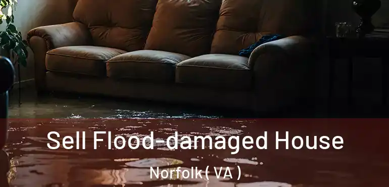  Sell Flood-damaged House Norfolk ( VA )